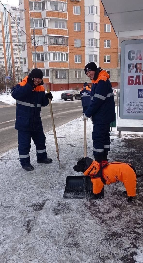 Самый хороший коммунальщик трудится в Солнцево