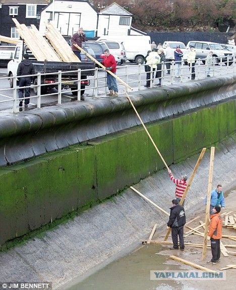 Море поработало лесопилкой