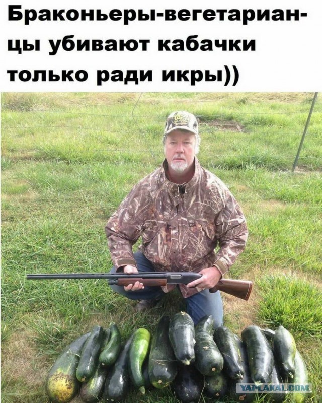 Нуштош 11.03.23