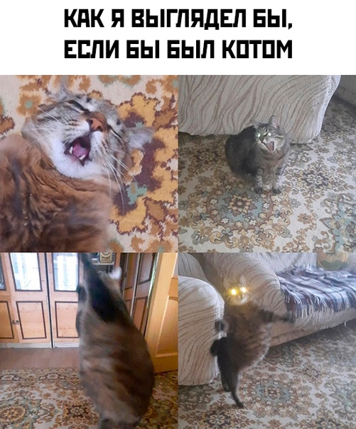 Картинки и мемы, всем хороших выходных