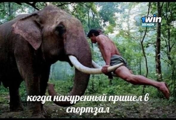 Всего понемногу. От 04.04.