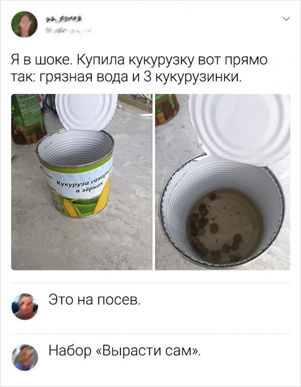 Так себе картинки 15.04.23