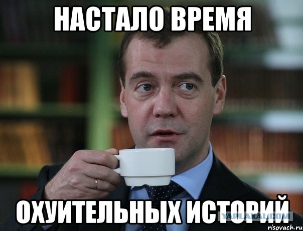 В Кабардино-Балкарии на велосипедиста попытались напасть два домашних пса, но его защитила бродячая собака