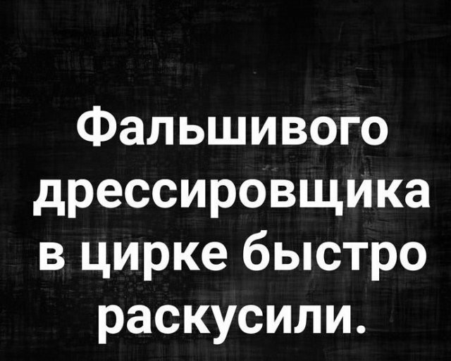 Картинок вам в серые трудовыебудни