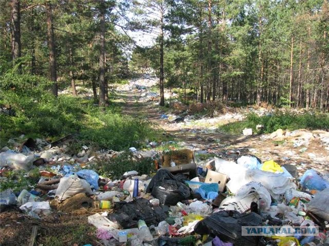 Майские праздники