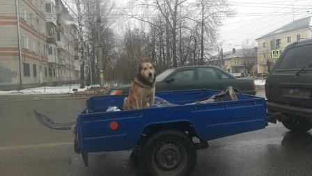 Настроение