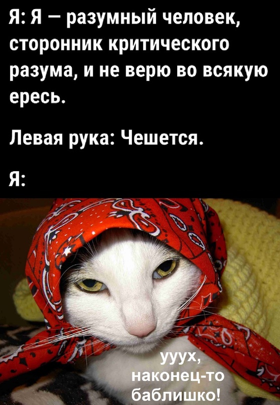 Весёлый полтишок 13.02.24