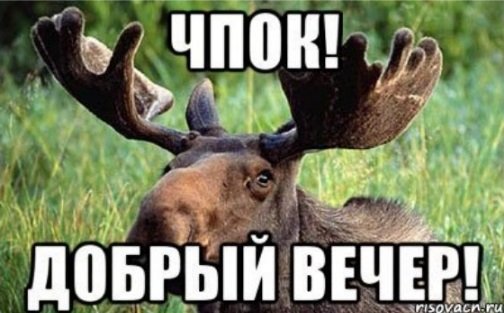 Участковый молодец!