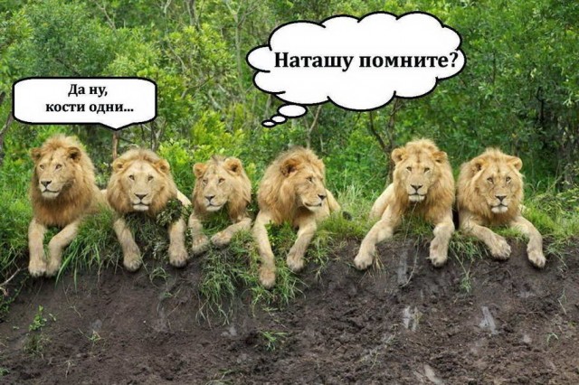 Завалялось тут случайно немного забавных картинок