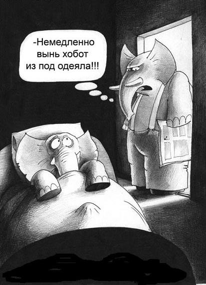 Завалялось тут случайно немного забавных картинок