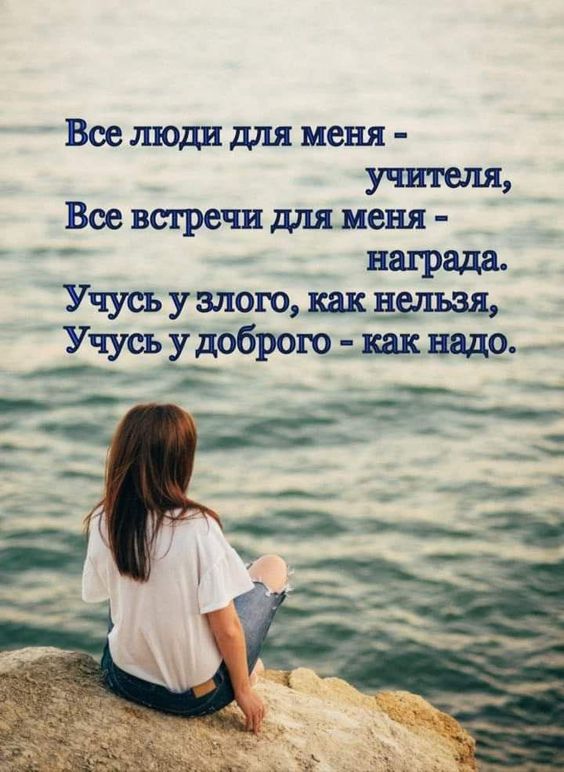 Прикольные и просто красивые картинки 12.11.2024