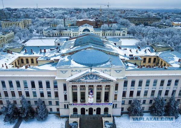 Вот так нас и учат в колледже...