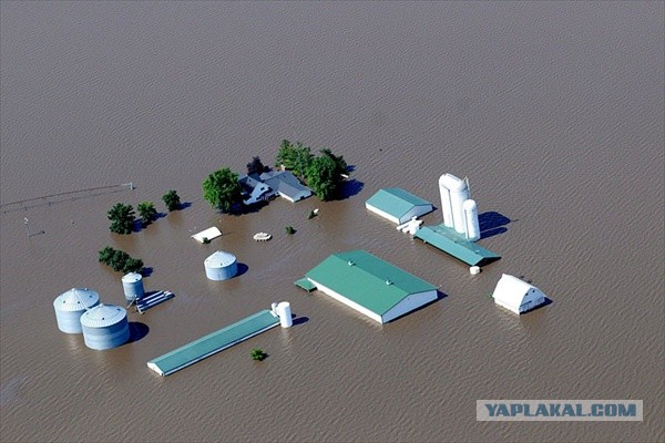 Иногда VK доставляет...