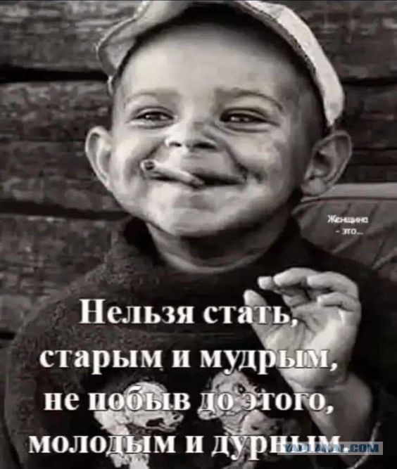 Не надо! Не надо! Дол***б, стой, мы разобьемся!