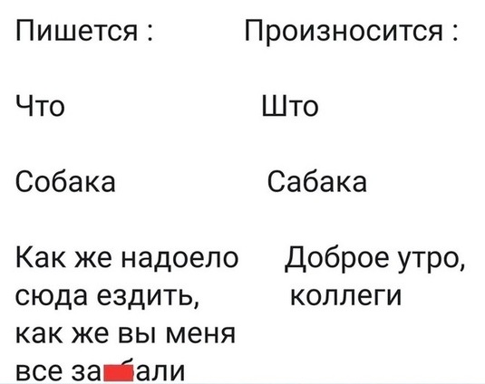 Весёлый полтишок 06.03.2025