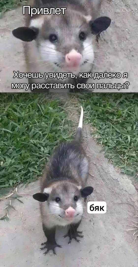 Так себе картинки 31.03.25
