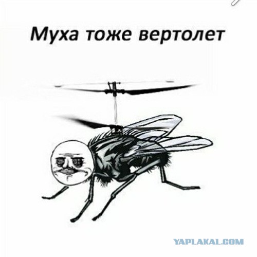 Первый полёт на вертолёте
