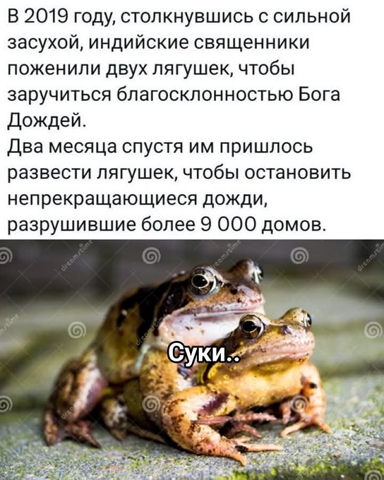 Картинки для деградации 28 (разной степени свежести)