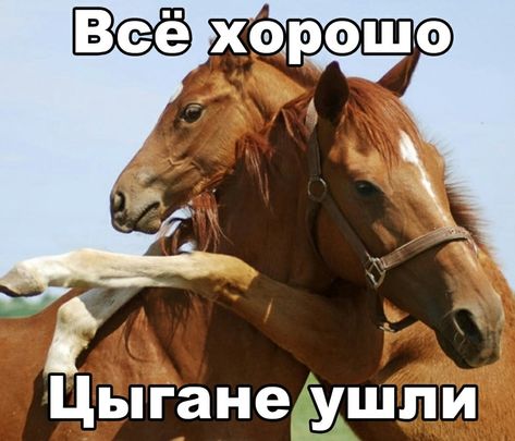 Черти и сюда добрались.