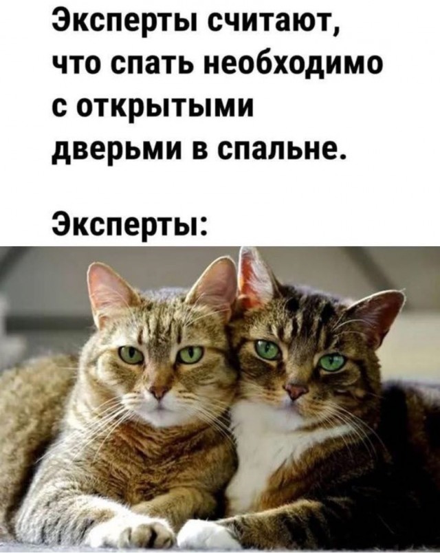 Картинки субботнего утра