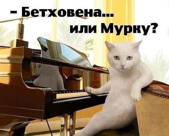 Прикольные и просто красивые картинки