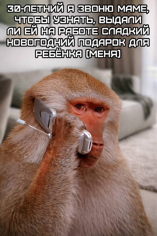 Картинки для деградации 111 (разной степени свежести)