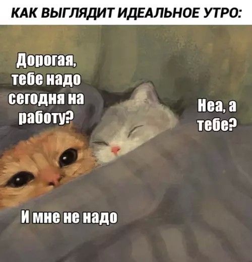 Картиночки, баянчики 10 апреля