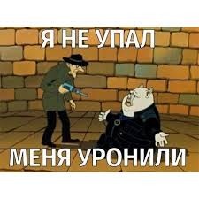 Сову уронили