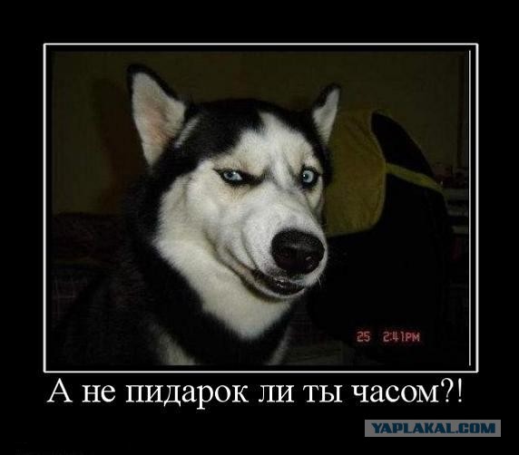 Журналистку "Слона" избили гомофобы