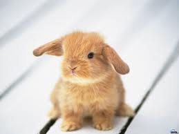 Увидел фото, ужаснулся