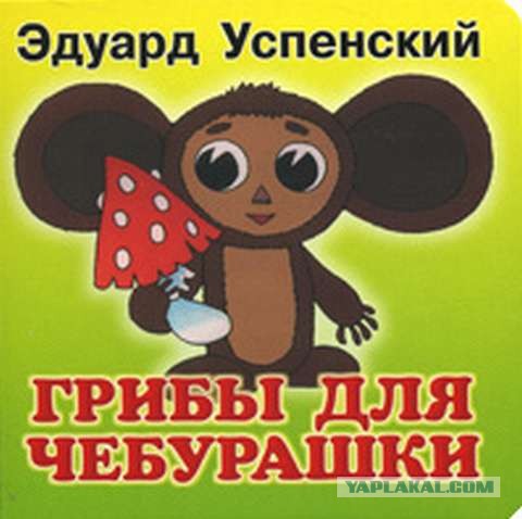 А вы тоже видите чебурашку?