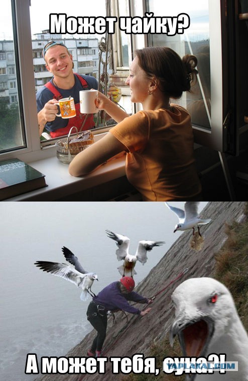 Смешные комментарии из социальных сетей