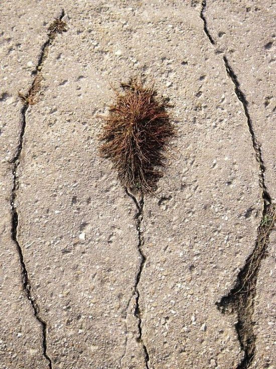 Пох, и так сойдет!