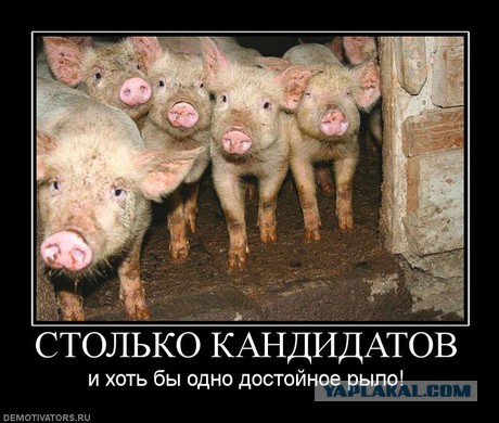 В Харькове предвыборная агитация