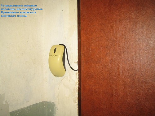 Дверной звонок гика