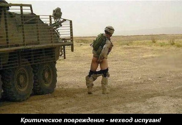 Wargaming 13