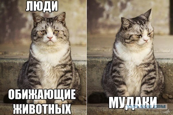 Застрявшие...