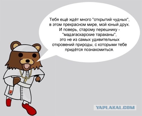 О религии, вере и мракобесии