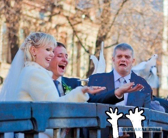 Птичку жалко...