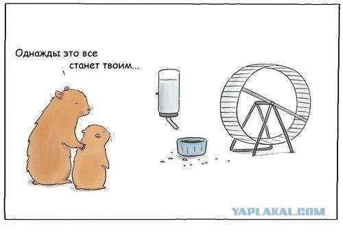 Всякая хренотень