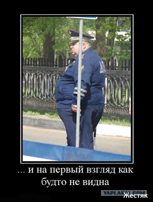 Странные и загадочные из соцсетей