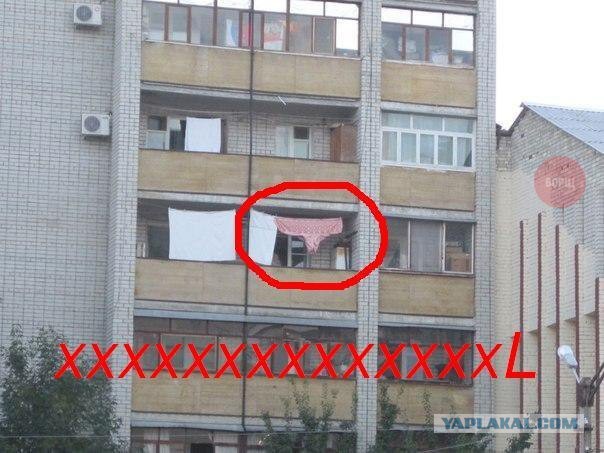 Забавные картинки из интернетов
