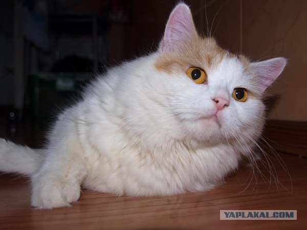 Компромисс