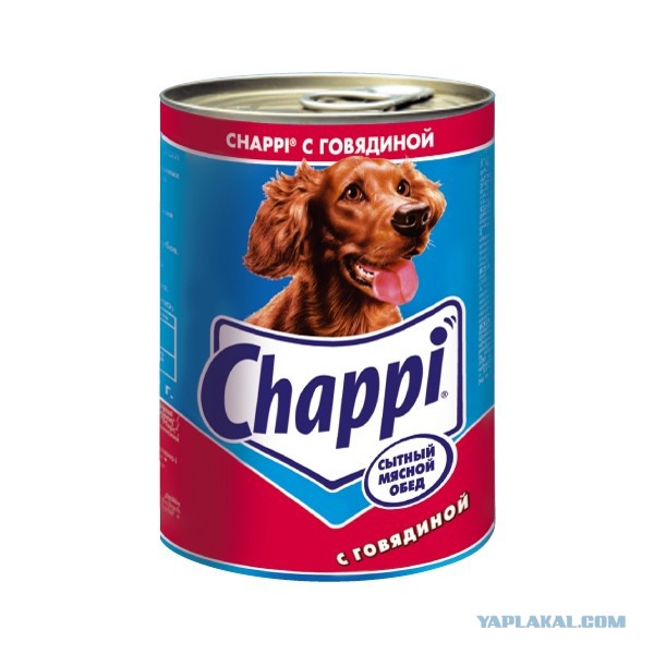 Робот по имени Чаппи