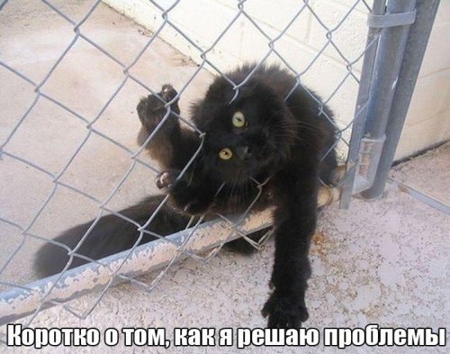 Картинки на пятницу