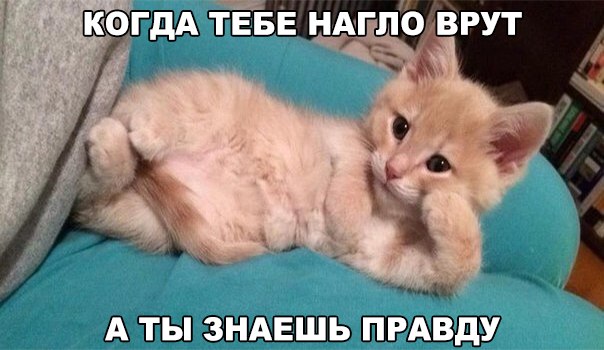 Немного картинок