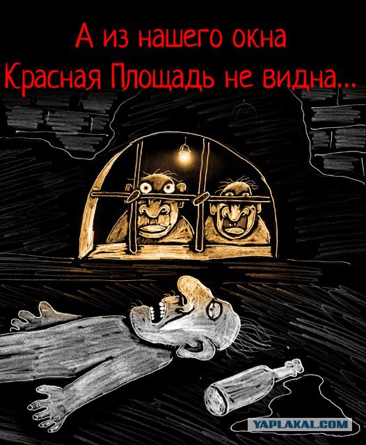 Пучок смешных картинок