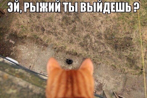 Подборка прикольных картинок
