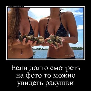 Веселые картинки
