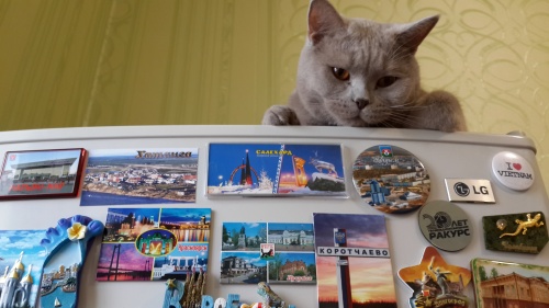 Подборка интересных и веселых картинок